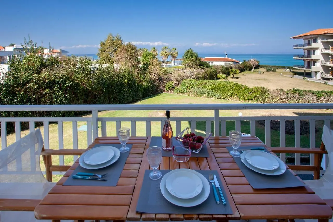 Calypso Beach Front Apartment Hanioti