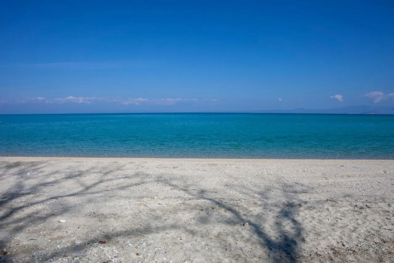 Calypso Beach Front Apartment Hanioti